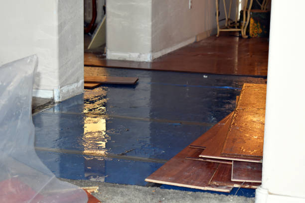 Professional Sewage Cleanup technician working in Switzer, WV
