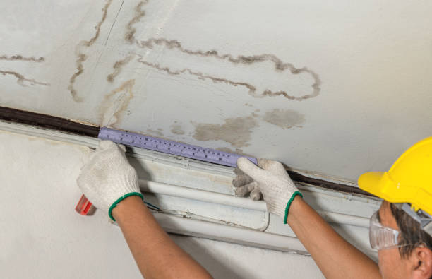 Reliable Sewage Cleanup contractor in Switzer, WV by Water Damage Irwin